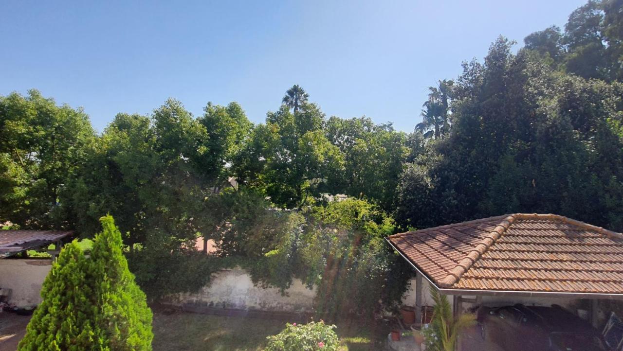 B&B Tenuta Di Vado Piano Nella Selva Di Circe Cerasella Экстерьер фото